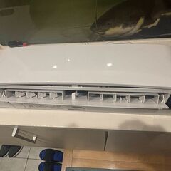 トヨトミ　サーキュレーター