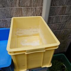 メダカ用に、Box.３個＋メダカ他の画像