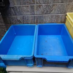 メダカ用に、Box.３個＋メダカ他の画像