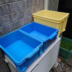 メダカ用に、Box.３個＋メダカ他の画像