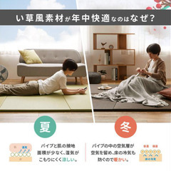 置き畳（拭ける）１２枚　特価の画像