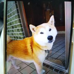 愉快な講師のプログラミング教室の画像