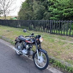 YB50  four