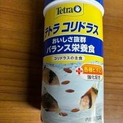 コリドラス　ステルバイ6匹➕エサ新品➕オトシンクルス6匹の画像