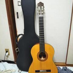 クラシックギター　全音　ZG-200