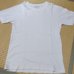 レディース　Tシャツ