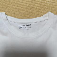 レディース　Tシャツの画像