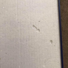 ボーネルンド　ピキー マグネット モザイク PIKYの画像