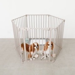 ほぼ新品！　monchéri ペットケージ　変形自在の画像