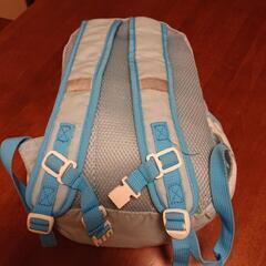 アナと雪の女王 リュックの画像