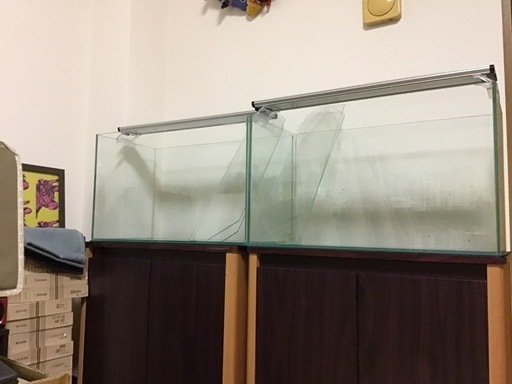 【お話中です】水槽セット60cm  エーハイムガラス水槽、外部フィルター