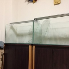 【お話中です】水槽セット60cm  エーハイムガラス水槽、外部フィルターの画像