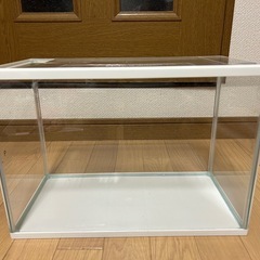 【お話中です】GEX 初めて水槽セット　2組