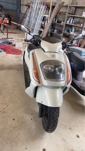 スズキ　　ジェンマ