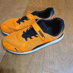 PUMA 23cmの画像