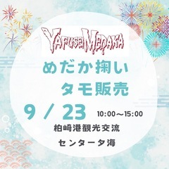 めだか掬い　タモ網販売
