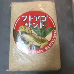 フトアゴサンド