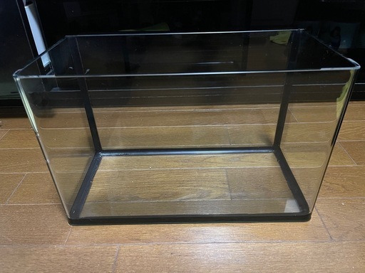 ガラス水槽