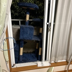 キャットタワー