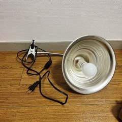 クリップライト　電気　大きめ