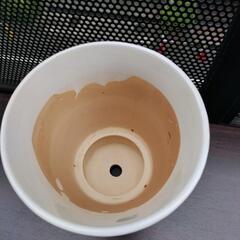 デザイン 陶器  はちの画像