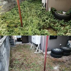 除草・草むしり・草刈り　手作業で抜きます / 刈り払い機使用も出来ます − 富山県