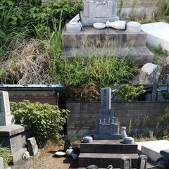 除草・草むしり・草刈り　手作業で抜きます / 刈り払い機使用も出来ます - 助け合い