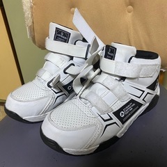 軽量樹脂先芯安全靴❣️お値引きします^ - ^の画像