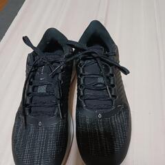 ナイキエアズームペガサス38 シ－ルド