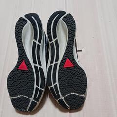 ナイキエアズームペガサス38 シ－ルドの画像