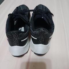 ナイキエアズームペガサス38 シ－ルドの画像