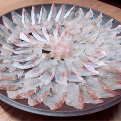 若狭湾で一緒に船釣りをしたい人募集🎣 − 京都府