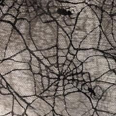 ⭐️2000円セール⭐️ニュージーランドで購入☆ハロウィン衣装☆の画像