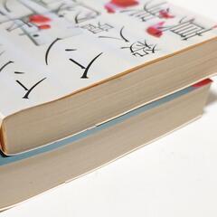 ミステリー小説 2冊 真梨幸子の画像