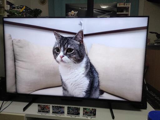 【決まりました】SONY  4K液晶テレビ/KJ-50X80L/2024年製/7月購入美品！