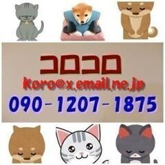 犬や猫と会話できるペットーク　差し上げますの画像