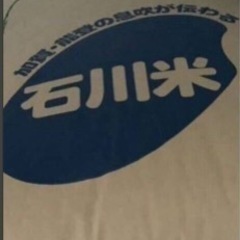 令和6年産コシヒカリ30Kg玄米