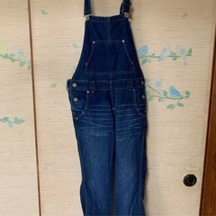 デニム　オーバーオール　レディースWertwood Outfit...