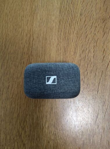 ジャンク　MOMENTUM True Wireless 3