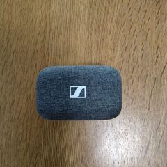 ジャンク　MOMENTUM True Wireless 3