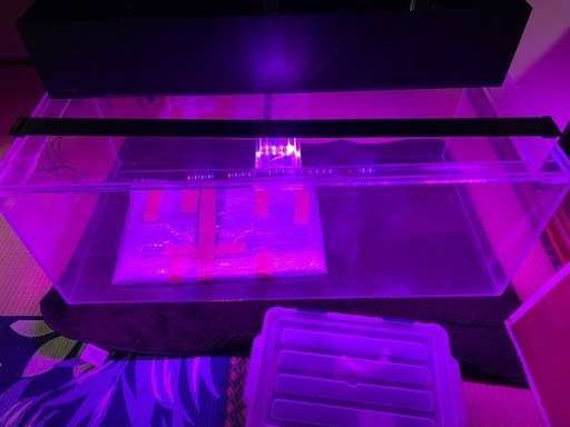 120センチ水槽