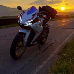 CBR250RR MC51【美車】