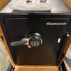 SAFESentrySafe  ロックボックス 耐火 防水 ダイ...