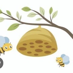 蜂の巣駆除、ゴキブリ駆除などお手伝い