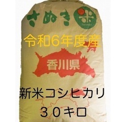 【ブラックフライデー12/1まで】香川県産コシヒカリ新米　30kg