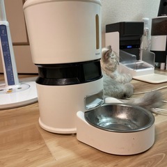 猫の自動給餌器の画像
