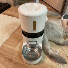 猫の自動給餌器の画像