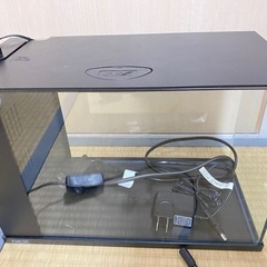 [GEX]ラクテリア　ブラック　水槽
