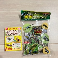 カブトムシ・クワガタものしりカード　甲虫ジグソーパズル