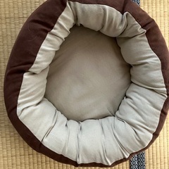 猫が使っていたベッドの画像